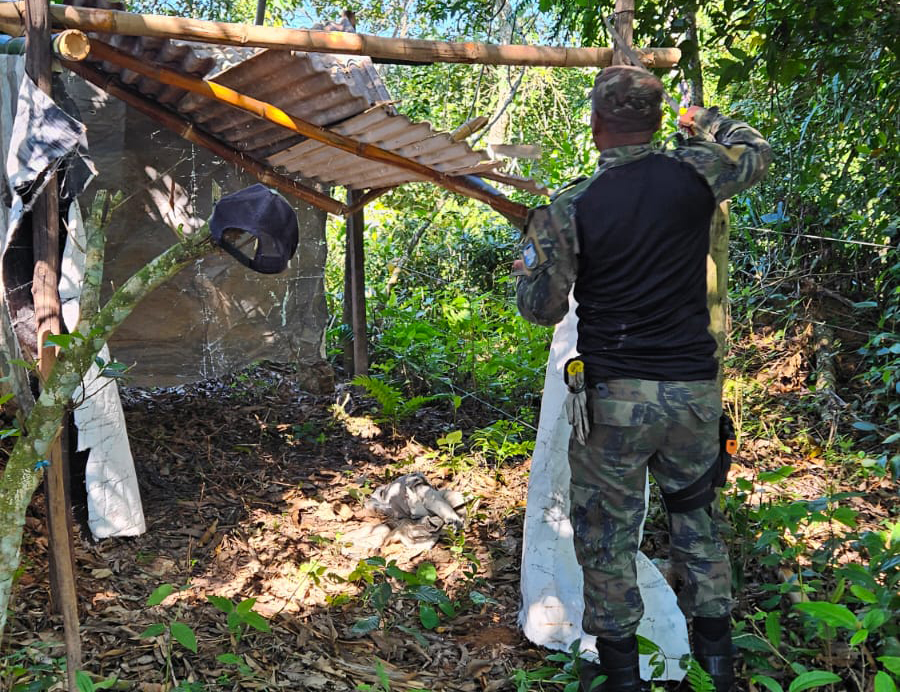Guarda Municipal faz retirada de acampamento irregular em área de amortecimento do Parque Atalaia